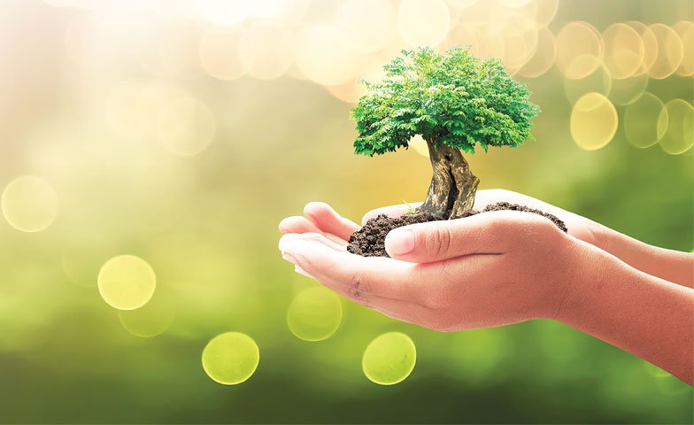 Environmental Action